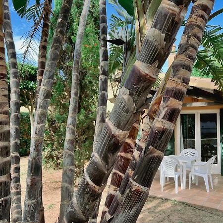 Bungalow Tropical Nº6 - Son Xoriguer Apartment Luaran gambar